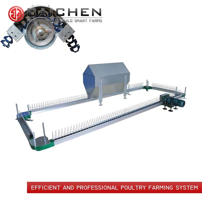 Chicken Feeding Line Equipment Poultry Feeder Machine Automatic Farm Breeding System