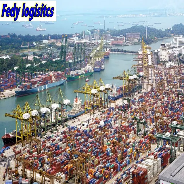 Professional Sea Freight Forwarder Agent Shipping Door to Door From China to Indonesia/Surabaya, Jakarta, Semarang