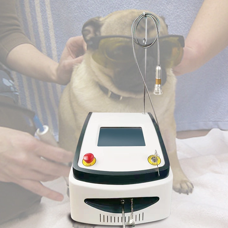 Klasse IV 980nm 810nm Schmerzmittel Tierärzte Tiervet Laser Für Die Veterinärtherapie