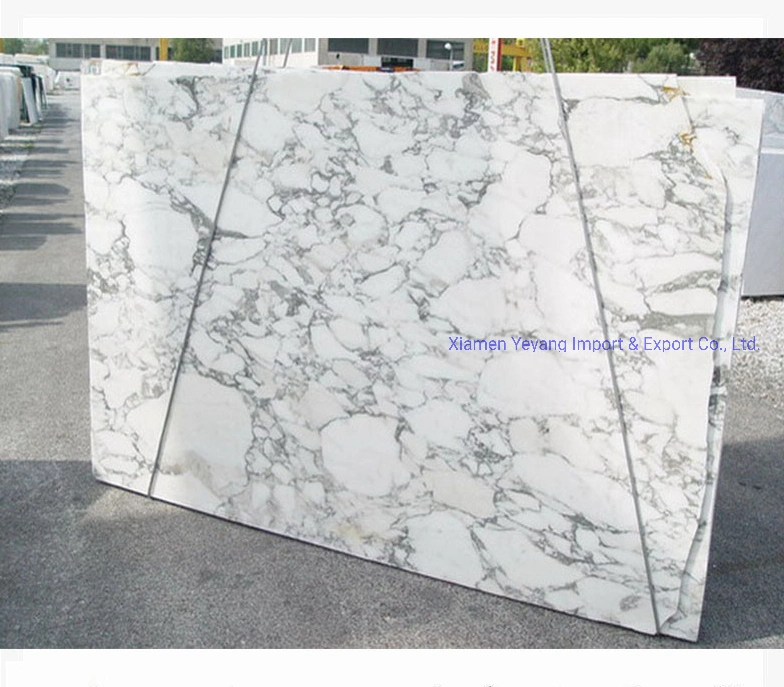 White Marble Slab/Countertop/Vanitys/Bartops for Kitchen/Backsplash/Bathroom for Hotel Project Wholesale/Supplier