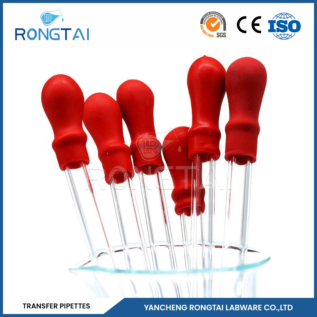 Rongtai Glass Sterile Transfer Pipette Fabricators Glass Pipette 2 Ml China Large Pipettes