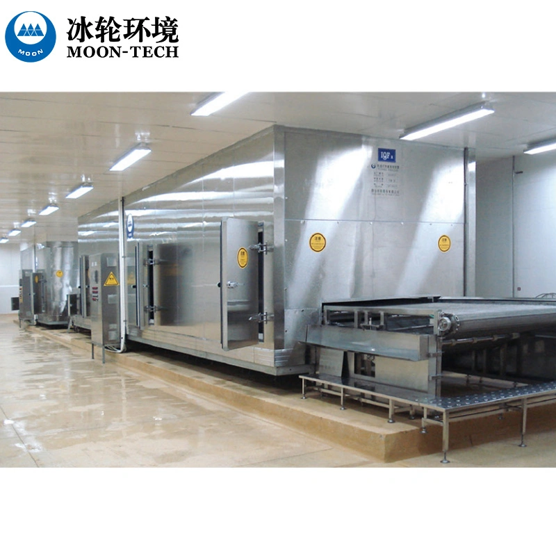 IQF Fluidized Tunnel Freezer for Fruit and Vegetable