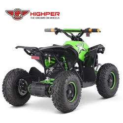 New Electric ATV for Kids Mini Quad 1060W 36V