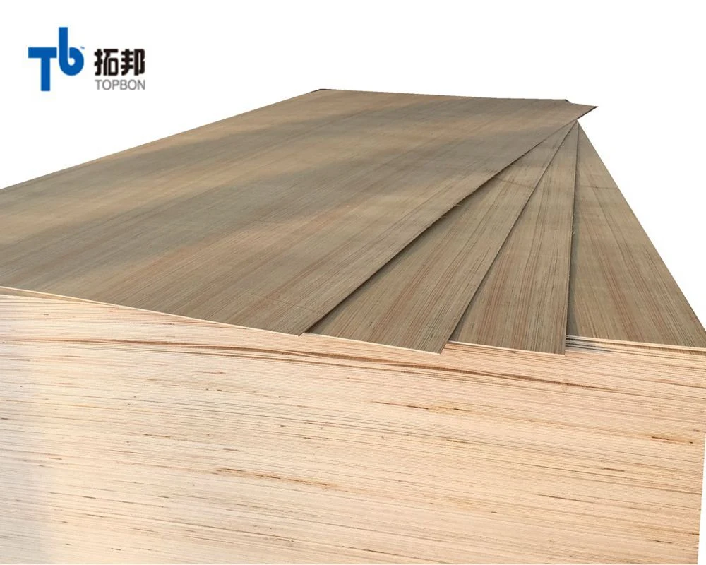 2mm-6mm Cheap EV Poplar Plywood for Packing Usage