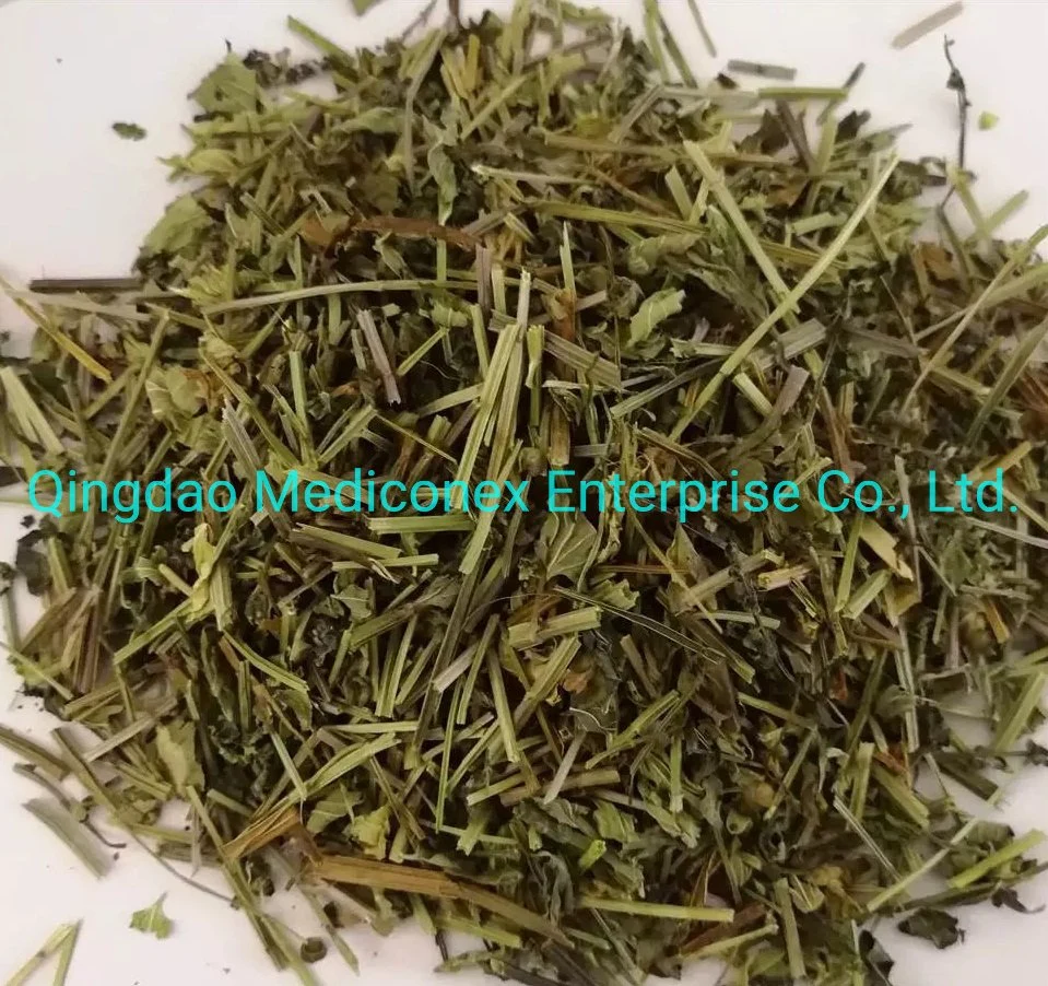 Scutellaria Barbata (herb) Raw Materials Prepared Traditional Chinese Herbal Medicine Herbal Plant Botanical Herb Clear Heat and Toxic