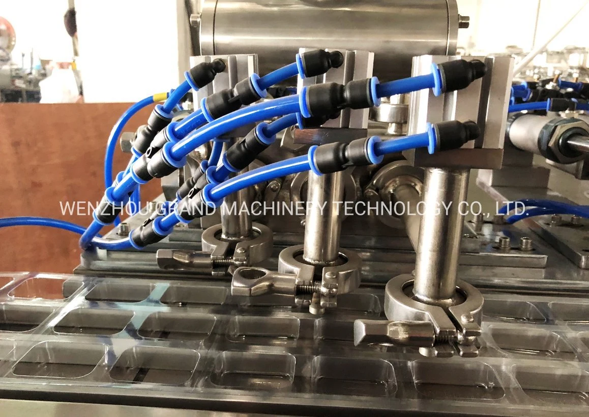 Automatic Blister Packing Machines for Medical Products