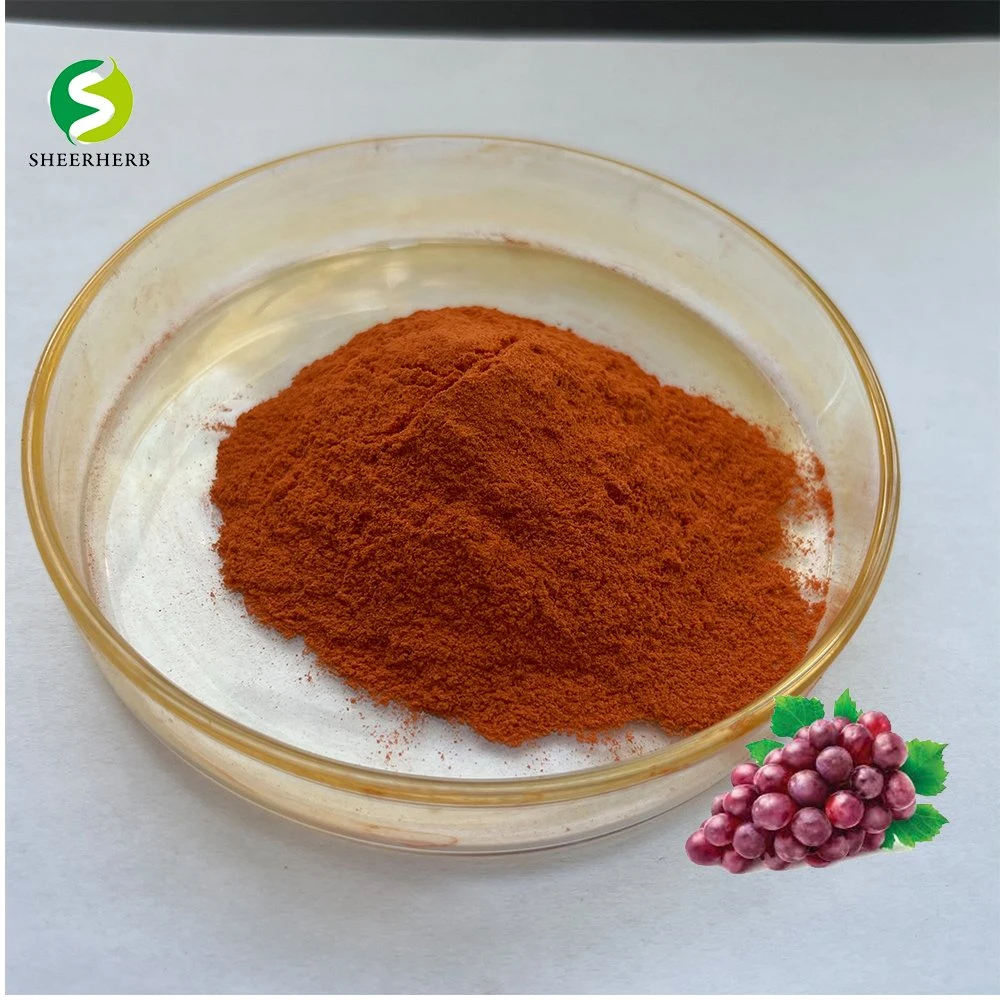 Fresh Grapes Seeded Grape Grape Seed Extract Powder