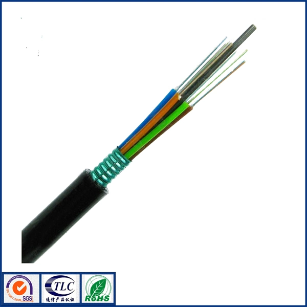 Efon Free Samples Singlemode Strand Loose Tube Armor Rodent Resistant Fiber Optical Cable Outdoor Duct/Direct