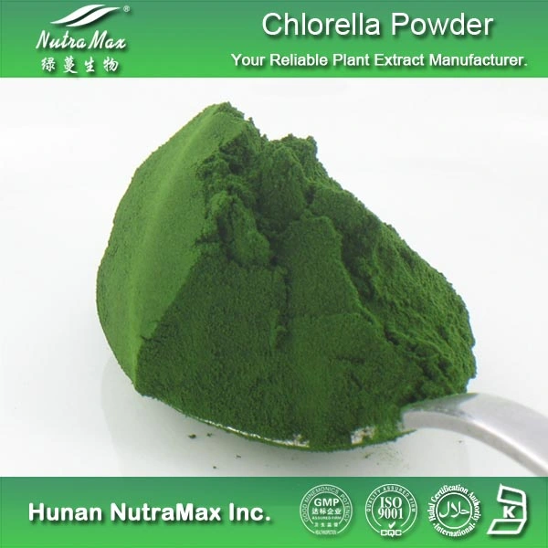 La Chlorella de alta calidad de proteína en polvo (60%).