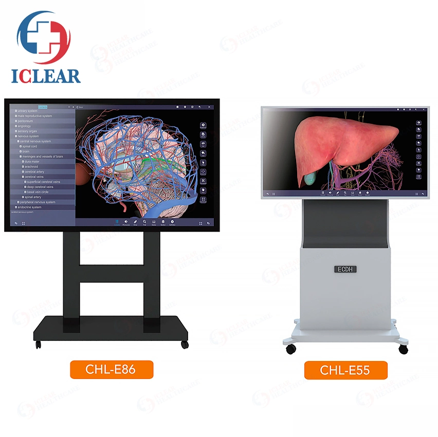 Professional Medical Education System Intelligent Anatomy Teaching Display Screen