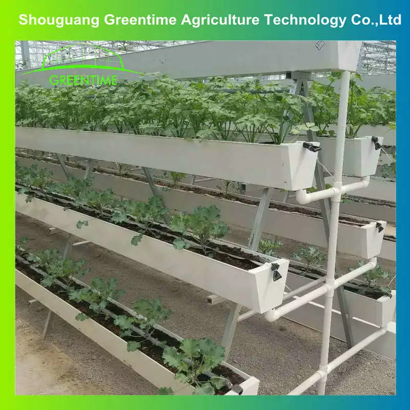 Atacado melhor qualidade estufa e uso de fazenda hydroponic Strawberry crescer Caleira