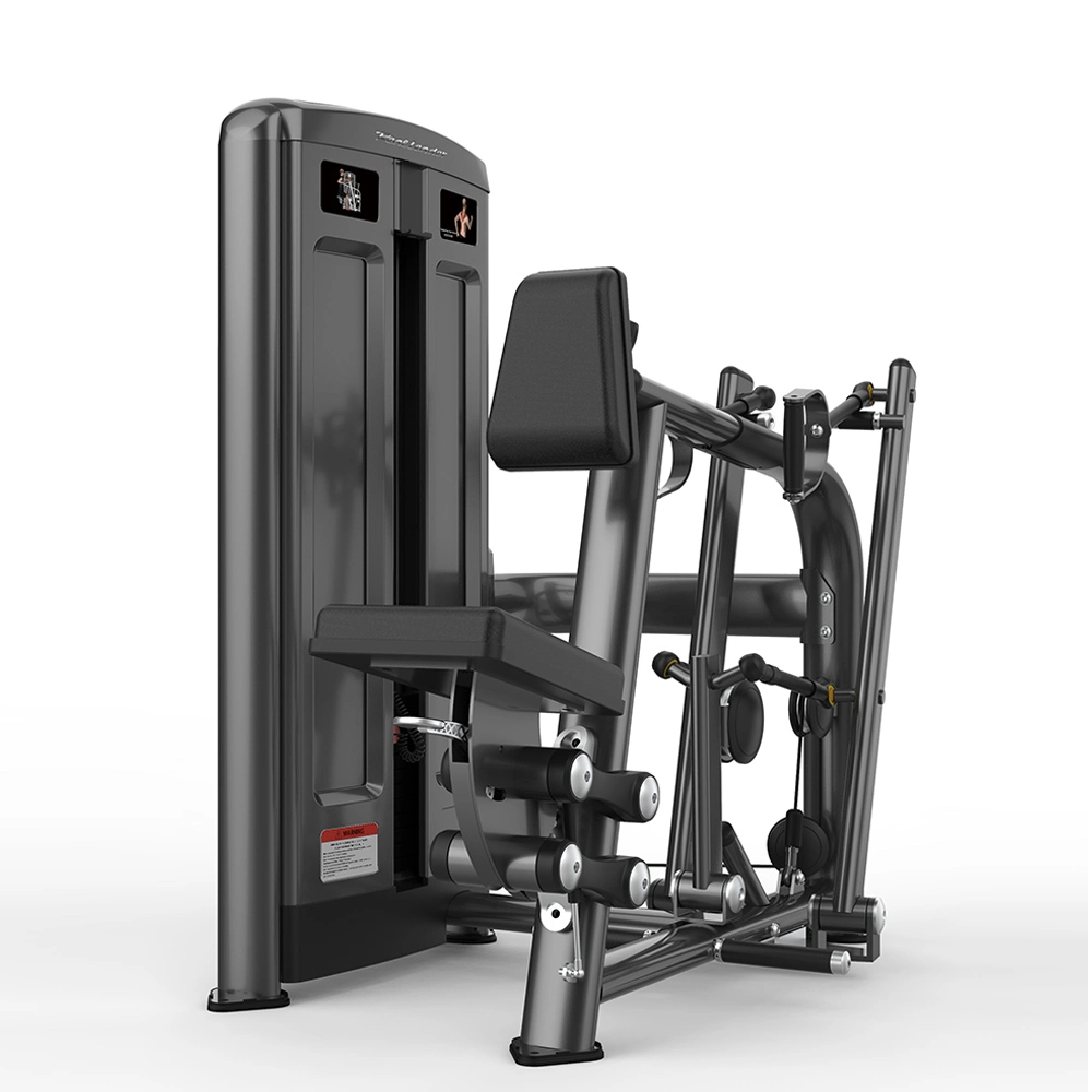 Seated Row /Rear Delt Commercial Fitness Equipment for Exercise