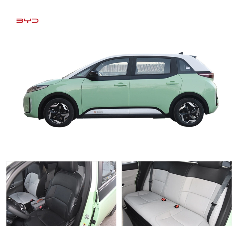 Ridever Wholesale/Supplier 2022 Byd D1 5 Doors 5 Seats MPV 418km New Product 2022 for Cars Byd Used Car