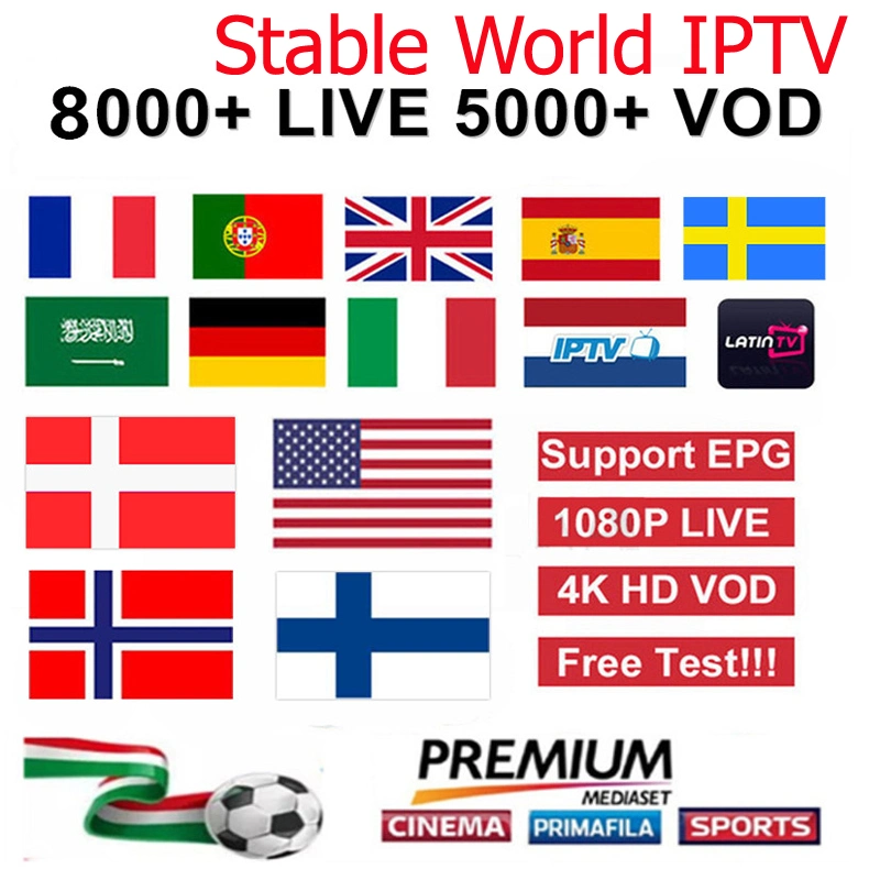 Servicio de IPTV de EE.UU., 1 año de suscripción Ott Platinum Apk distribuidor Mayorista/Proveedor de IPTV IPTV Panel Código créditos Magnum llena de canales europeos África latinos