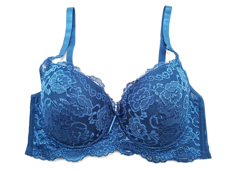 Sexy Ladies Fashion All Over Lace & Mesh Women Bra