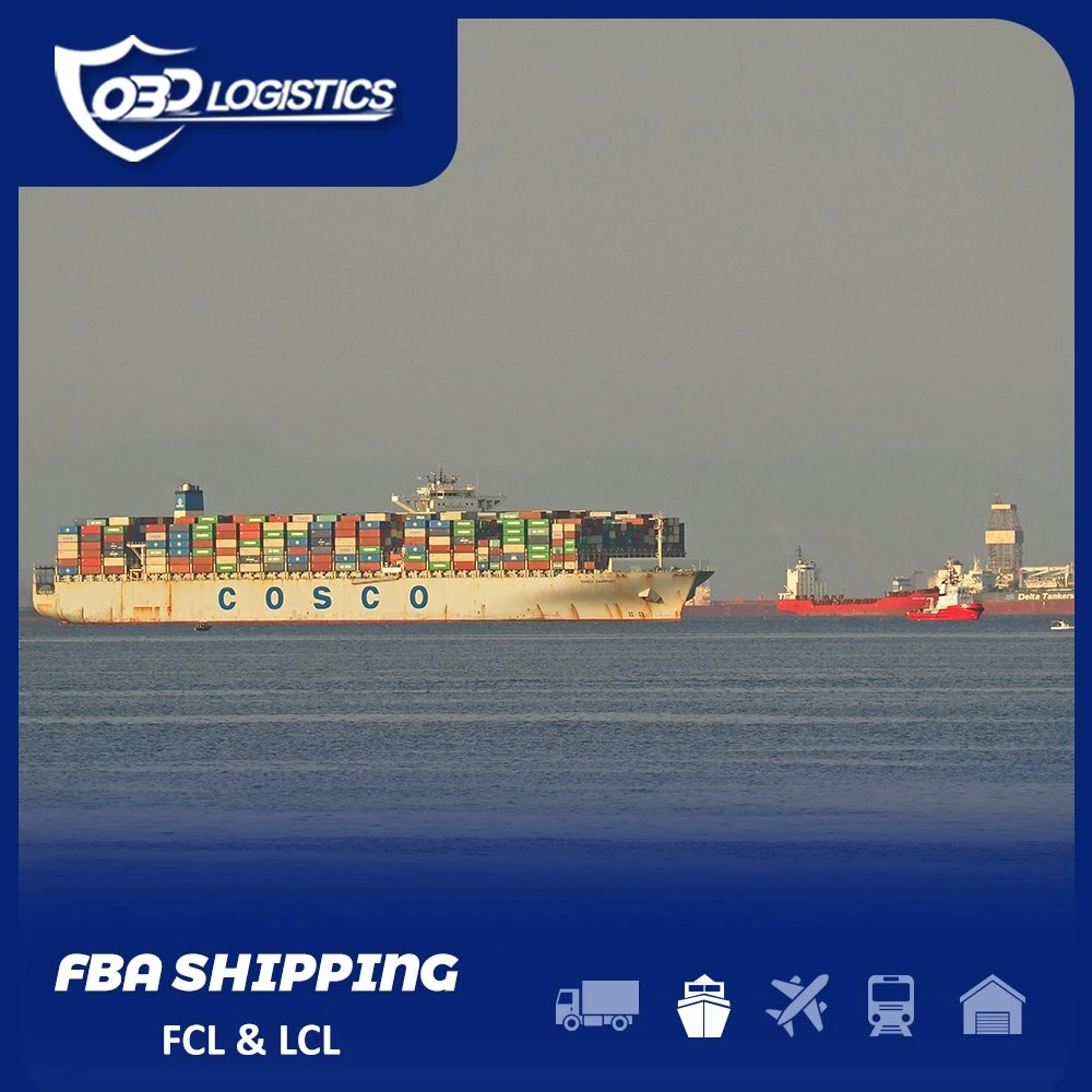 Professional DDP Sea Shipping Company Amazon Fba Freight Forwarder China Fba Shipping Agent DDP Amazon Fba to USA