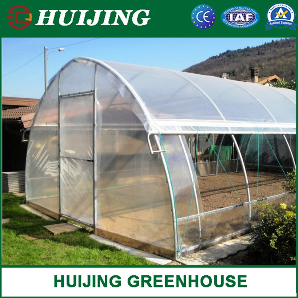 Agriculture Low Cost Single Span PE film Greenhouse for Tomato Plant