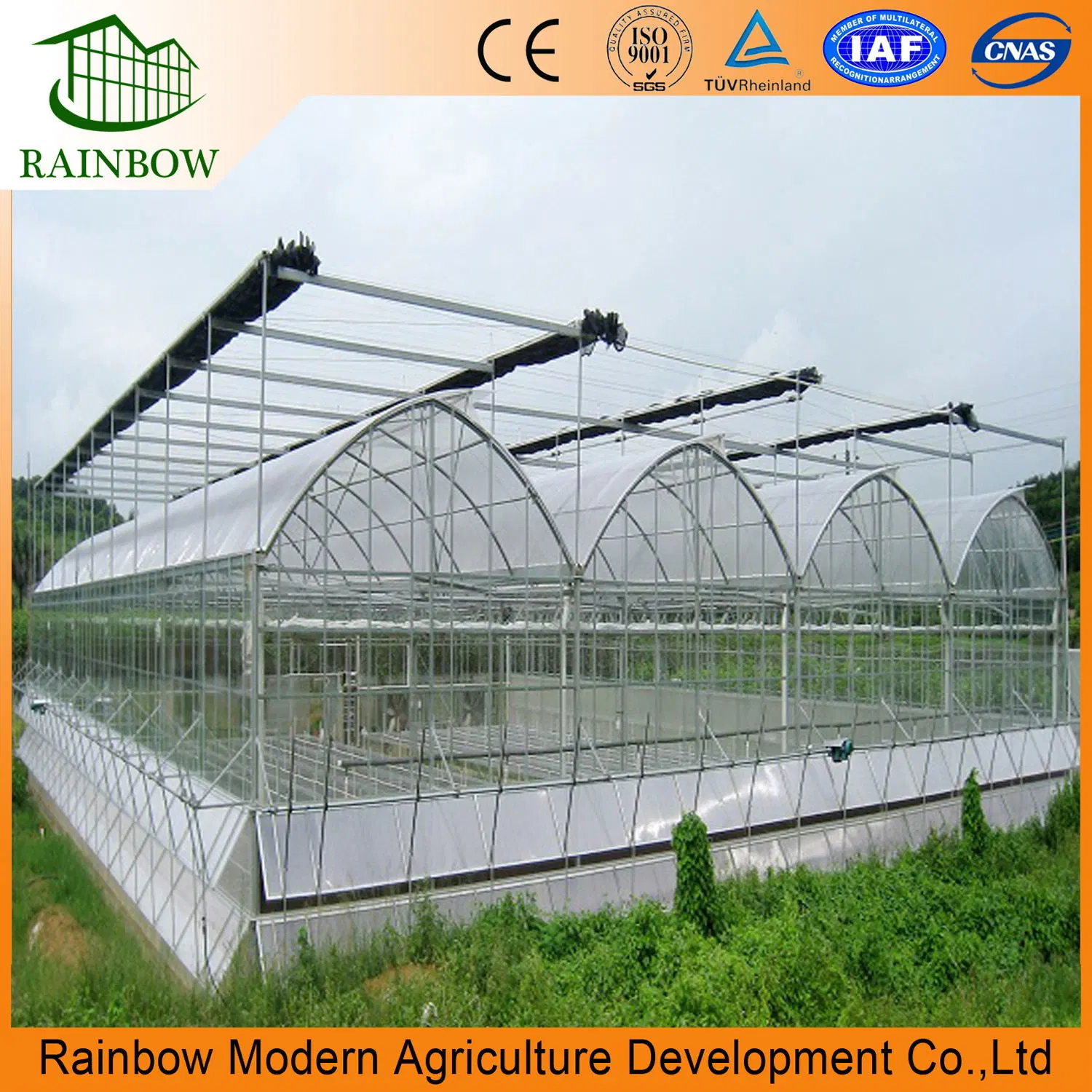 Agriculture Multi Span Plastic Film Greenhouse