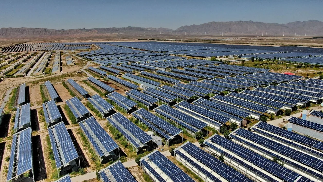 Paneles solares inteligentes hidropónicos Vales Mayoristas Marcos de invernadero