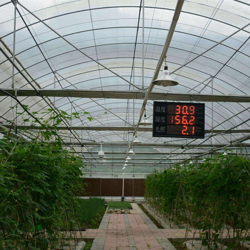 Structure en acier galvanisé Multi-Span/Serre en film plastique avec système d'irrigation hydroponique pour les fraises/les fleurs/les légumes