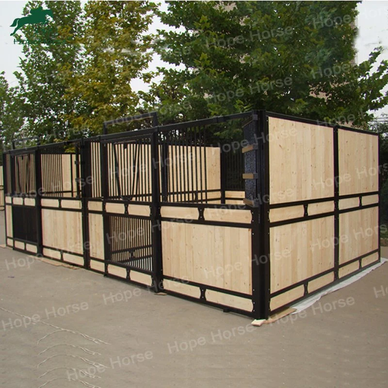 Horse Stall Building Stables for Horses with Feeders and Accessories