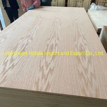 3.2mm Nature Wood Veneer Plywood Bintangor Okume Plywood Varnish for Furniture