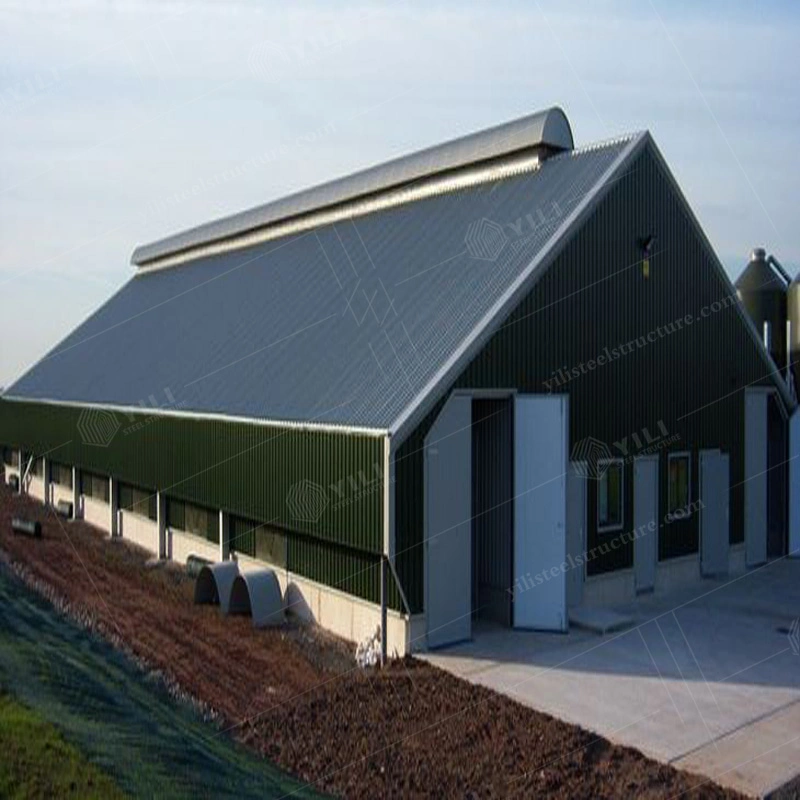 Steel Structure Broiler Poultry Farm House