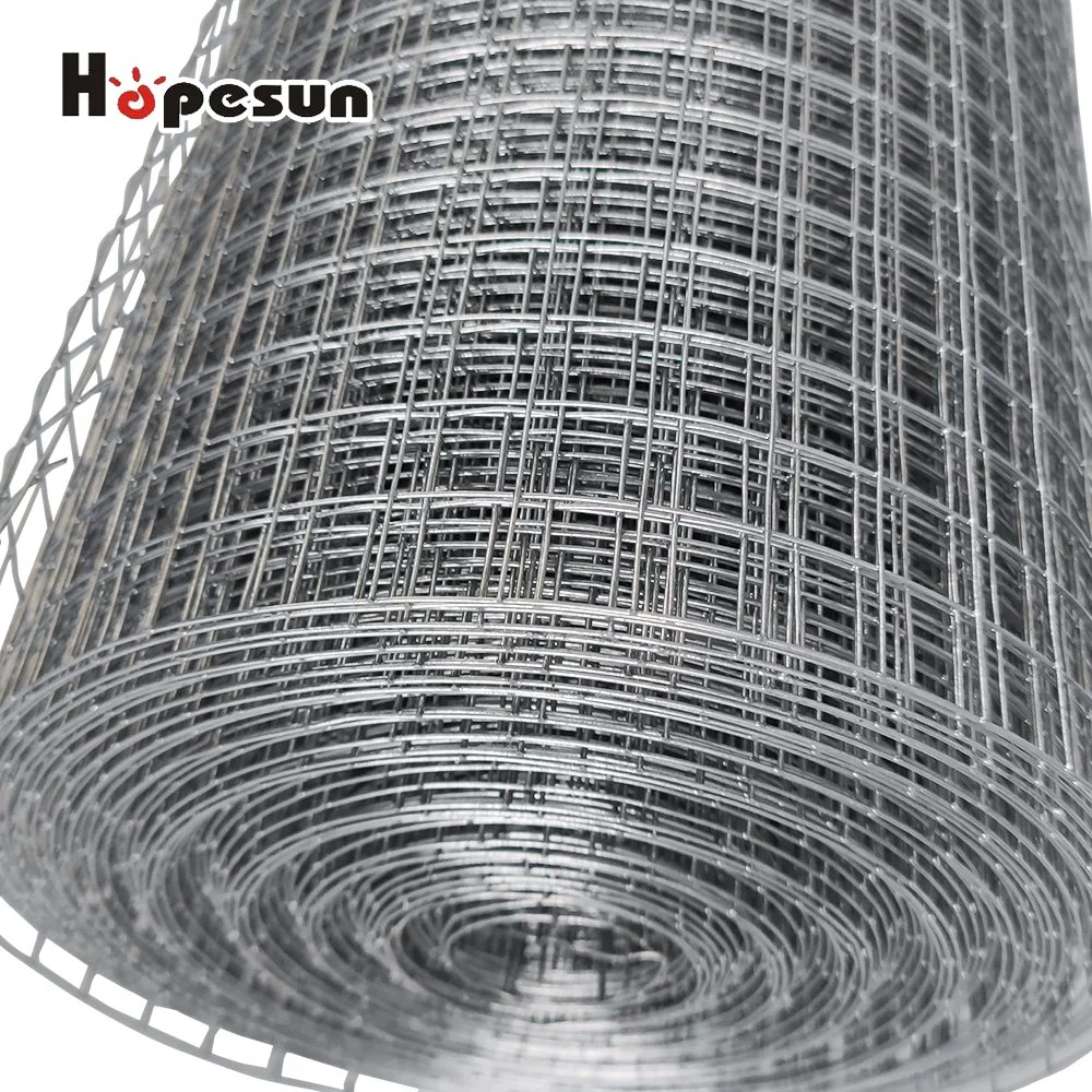 Hot Dipped Galvanized Before Welded Wire Mesh in Roll