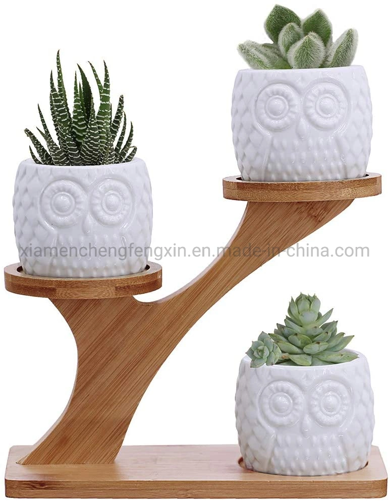 3PCS Owl Succulent Pots with 3 Tier Bamboo Saucers Stand Holder - White Modern Decorative Ceramic Flower Planter Plant Pot with Drainage