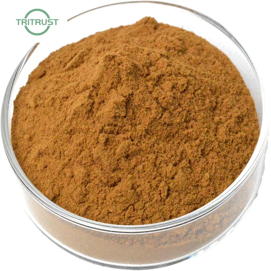 Factory Supply Eyebright Extract Capsule CAS No: 525-82-6 Herb Extract Powder Eyebright Extract
