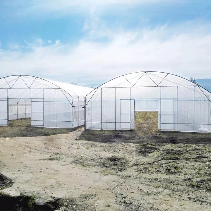 Agricultural Film for Tomato Anti-Dripping Anti-Mist Anti UV Plastic Grow Tent