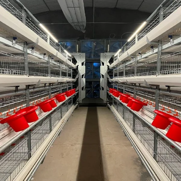 Huevo de gallina equipo automático de las aves de corral de la capa de pollo jaula para Oriente Medio