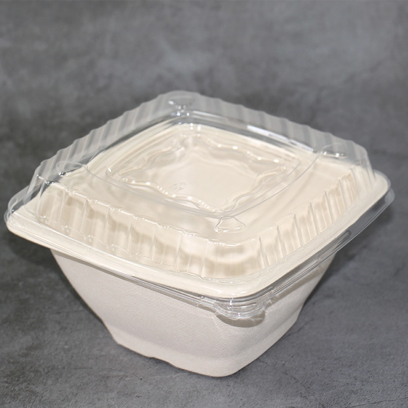 Eco-Friendly Biodegradable Bagasse Fiber Sandwich Box Party Food Tray Convenient Foodware Biomass Packaging Square Dinner Deep Plate Tableware Bowl Salad Bowl