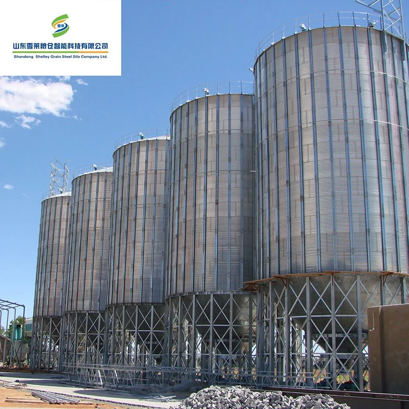 Galvanized Steel Silo 500ton 1000ton Steel Hopper Bottom Silo Grain Wheat Maize Corn Silo