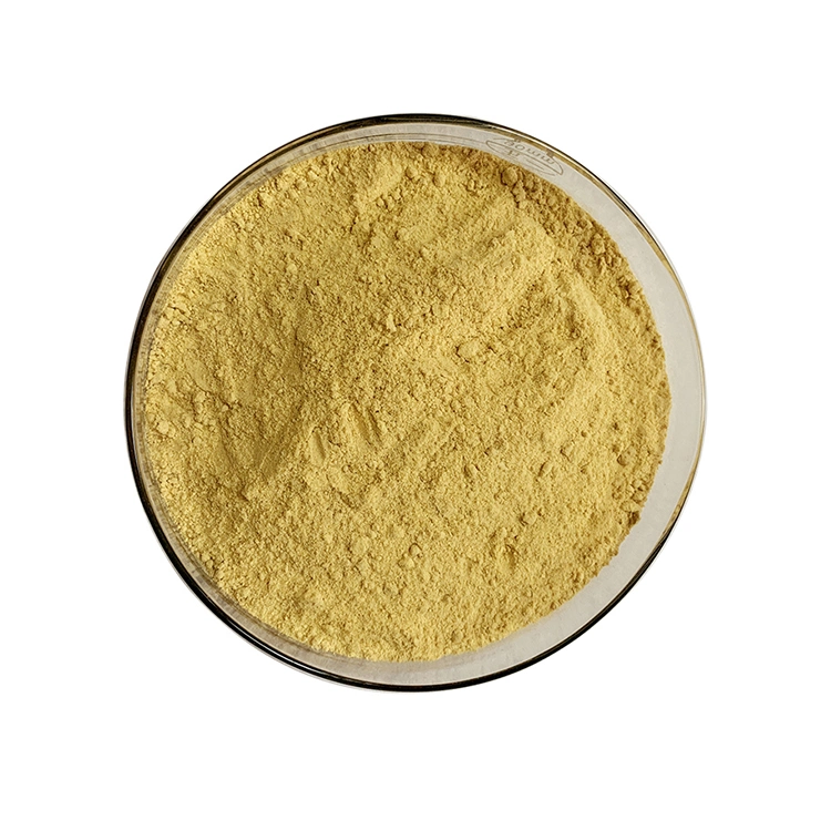 Factory Supply Christina Loosestrife Herb Extract