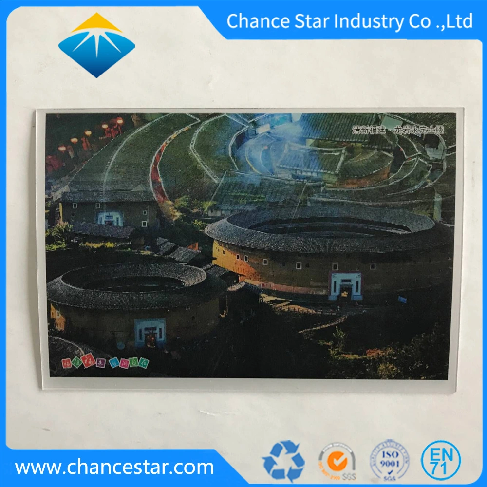 Custom 3D Lenticular Printing PP/Pet Vinyl Table Mat