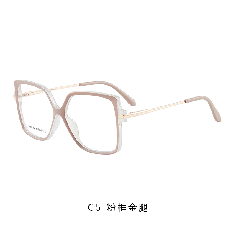 Customized Factory Wholesale/Supplier Price Hot Sale Oversized Frame Men's Anti Blue Light Glasses