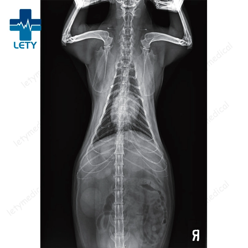 Vet Dr Vet Digital X-ray Unit 20kw Veterinary X-ray