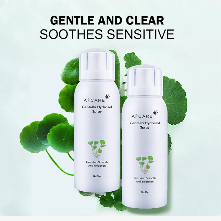 Centella Hautspray Aloe Factory Preis Hydrating Feuchtigkeitsspendende Glättung