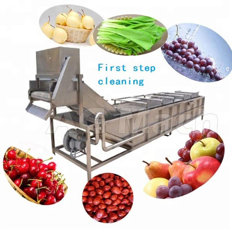 Automatic Oysters Brush Roller Cleaning Machine Fruit Washing Production Line