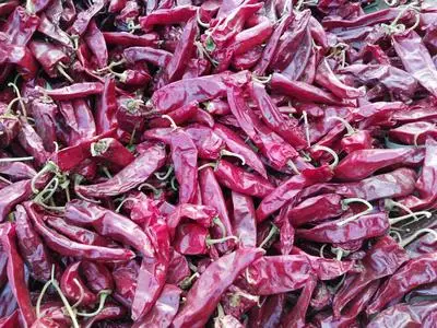 Chinese Paprika Chilli Wholesale/Supplier Dried Chili