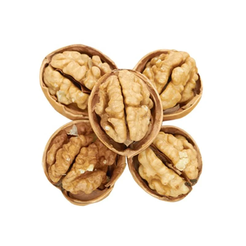 Nature Walnuts Nuts Wholesale/Supplier Chinese Paper Shell Walnut