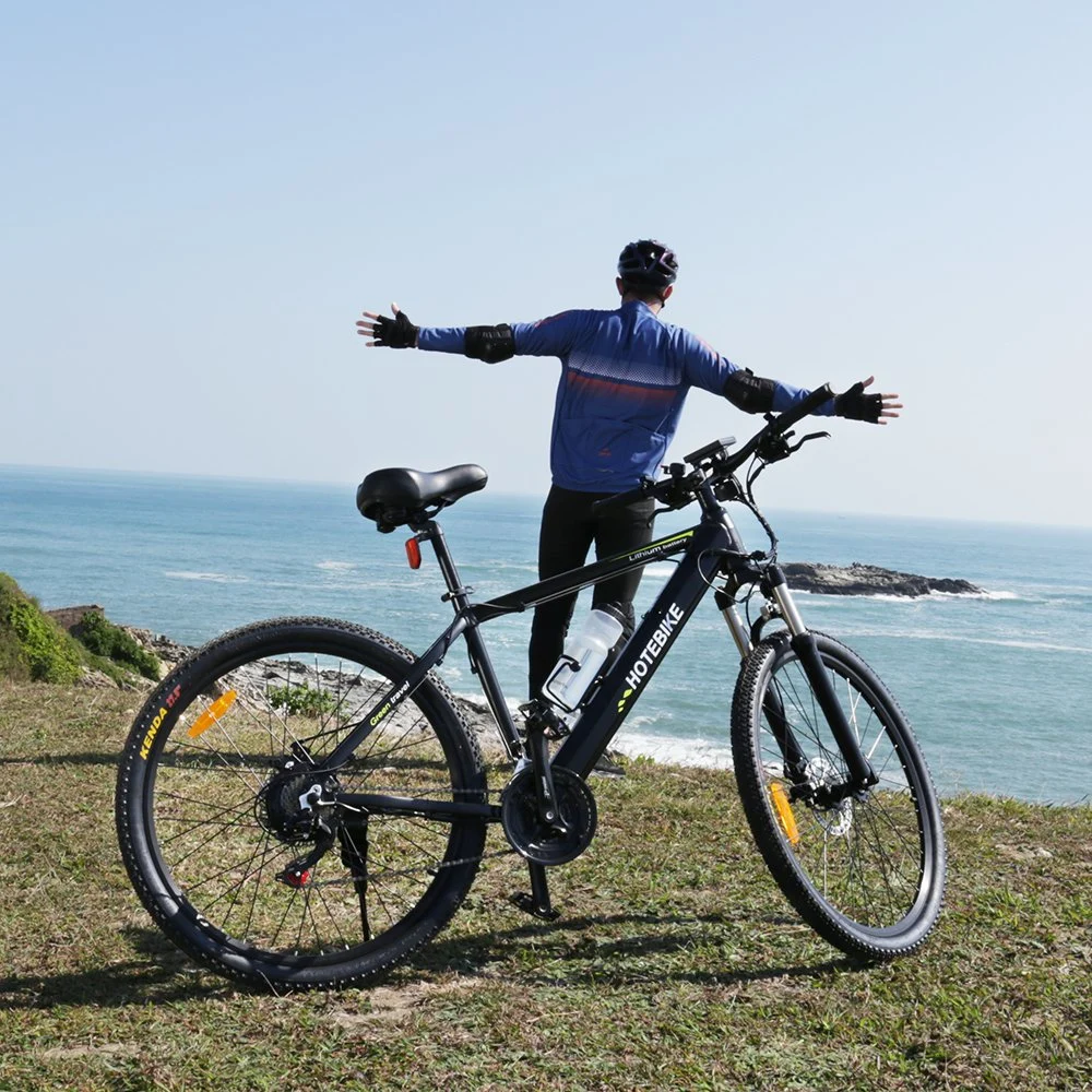 En gros 21-Vitesse de 26 pouces E Mountain Bike 350W 8ah Batterie au Lithium Les hommes du cycle de pneus de graisse électrique