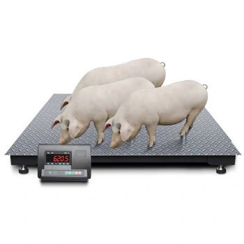 Checked Plate Digital Livestock Kit Animal Cattle Cow Horse Squeeze Chute Scale