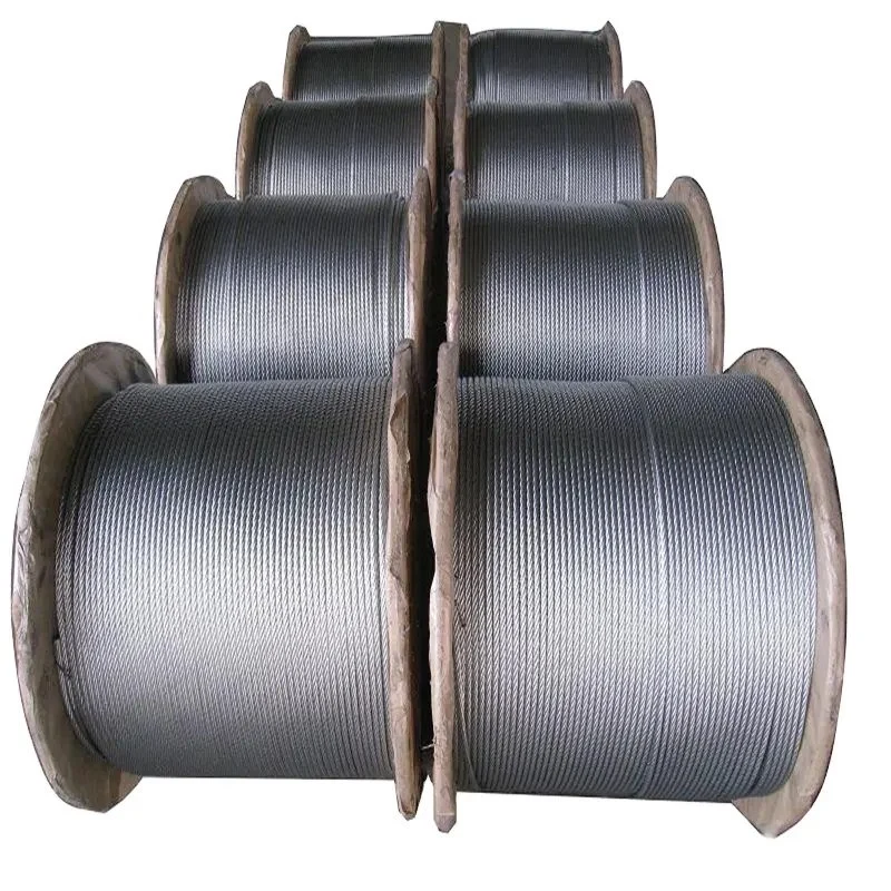 Customized 7X19 Galvanived Stainless Steel Wire Rope Nova Elevators Steel Wire Rope 8X19s+Iwrc for Price