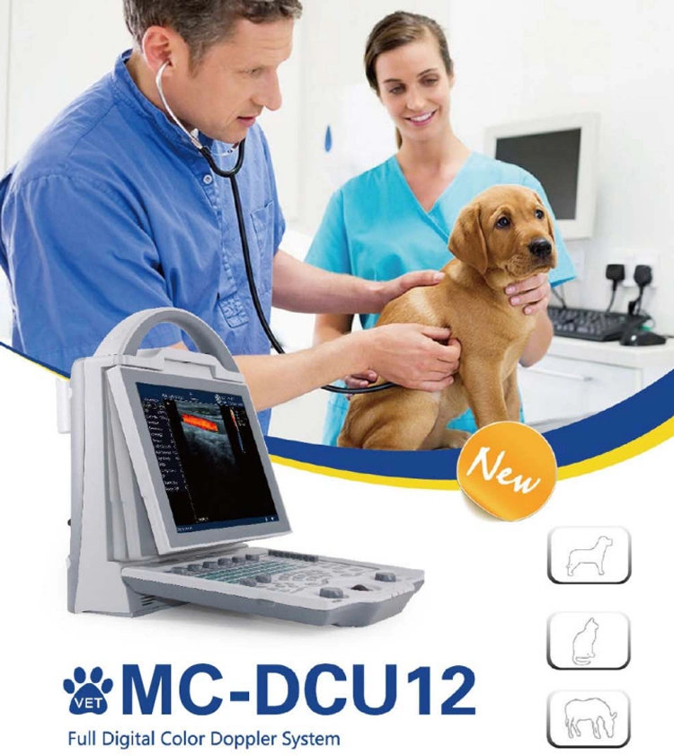Le matériel de diagnostic d'imagerie scanner CE, l'ISO Canine Balayage aux ultrasons de la machine