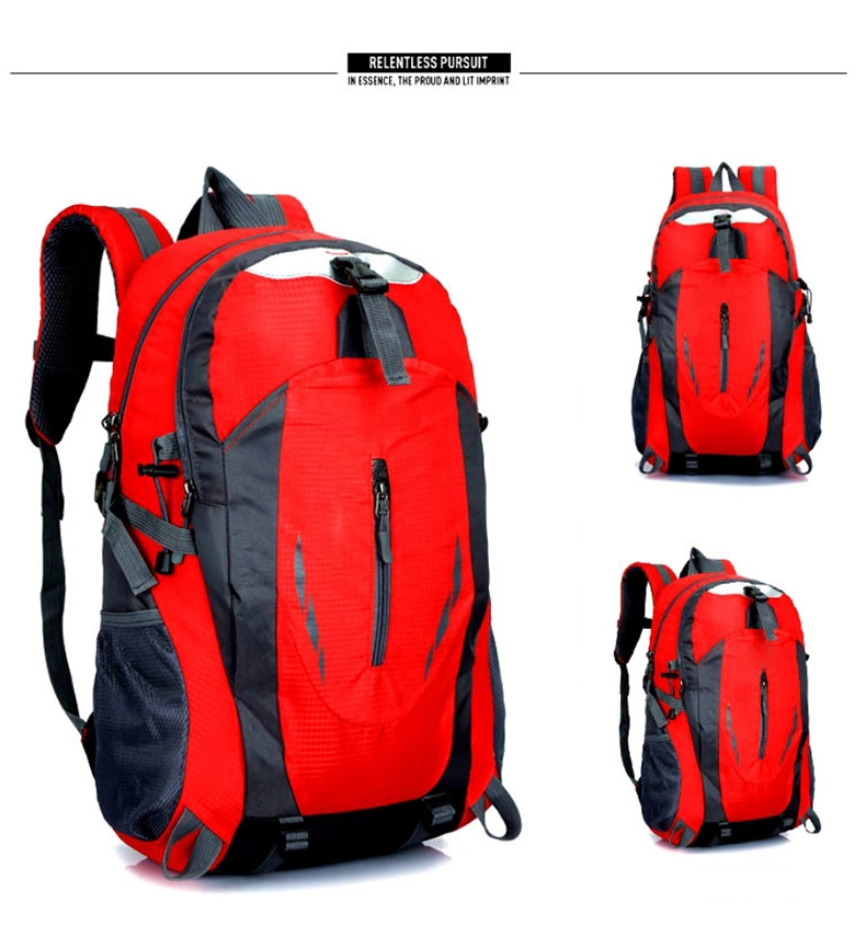 China Big Custom Carton 46*33*18cm Mochilas School Bags Camping Backpack with Good Service