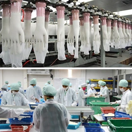 Manufacturer of Latex Exam Gloves, Disposable Gloves, Household Gloves; Competitive Price and Good Service