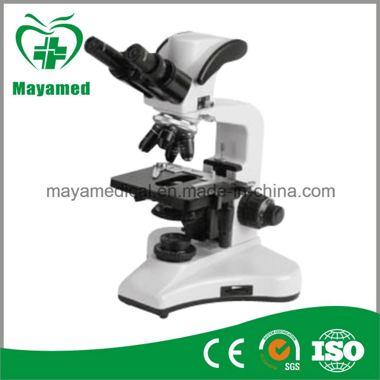 My-B126 Chinese Manufacturer Student Biological Bingocular Optical Microscope