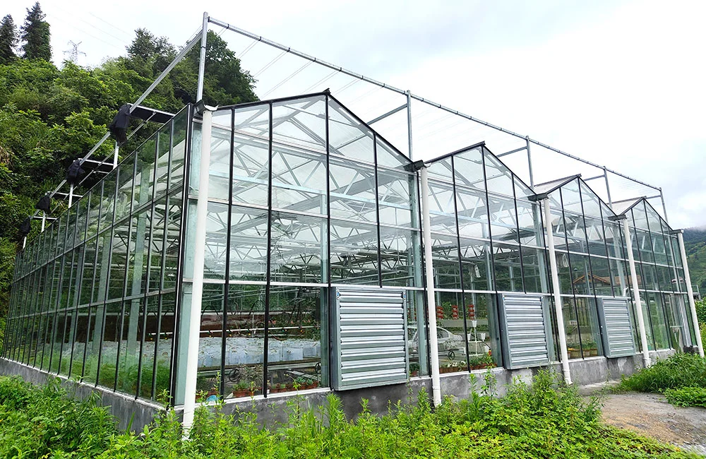 Po Film Glas Gewächshaus für Farm Garden Tierhaltung und Zucht mit Hydroponik/Bewässerungssystem Ventilatorkessel